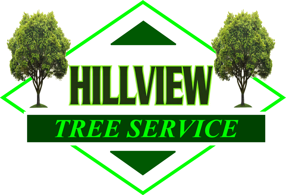 Hillviewlogo